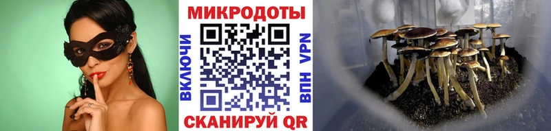 Псилоцибиновые грибы прущие грибы  blacksprut ONION  Приволжск 